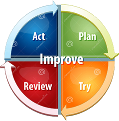 Business Improvement Process